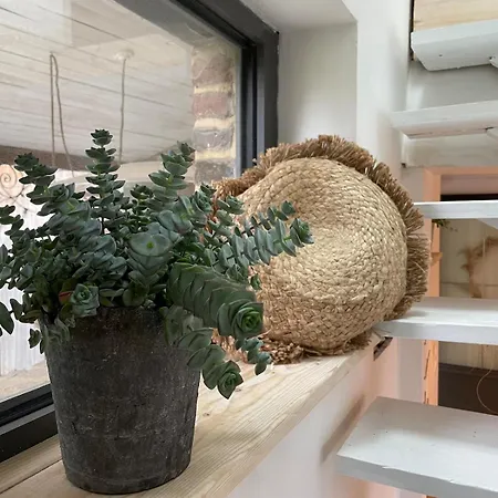 Lägenhet Le Nichoir Frelinghien